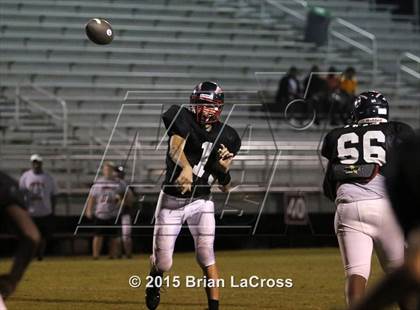 Thumbnail 1 in West Nassau @ Charlton County photogallery.