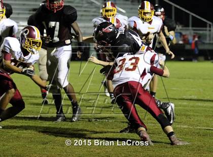 Thumbnail 3 in West Nassau @ Charlton County photogallery.
