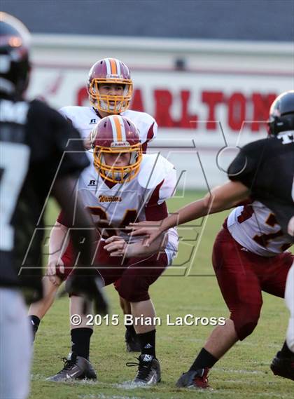 Thumbnail 3 in West Nassau @ Charlton County photogallery.
