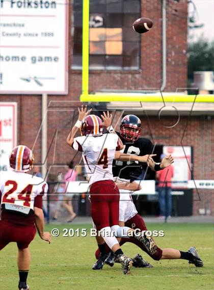 Thumbnail 2 in West Nassau @ Charlton County photogallery.
