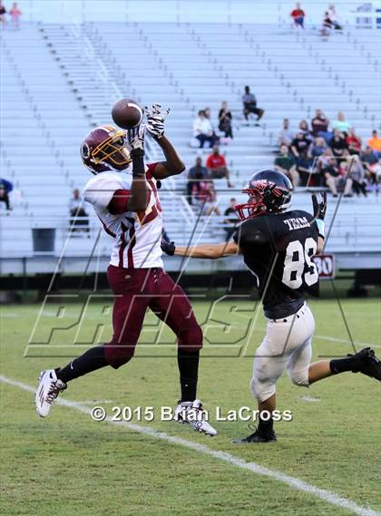 Thumbnail 3 in West Nassau @ Charlton County photogallery.