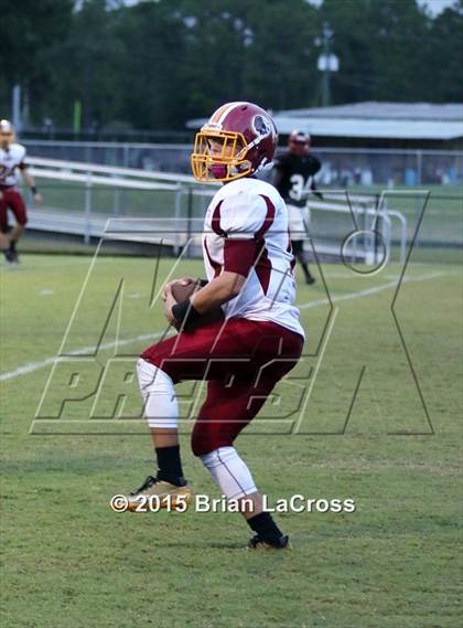 Thumbnail 2 in West Nassau @ Charlton County photogallery.