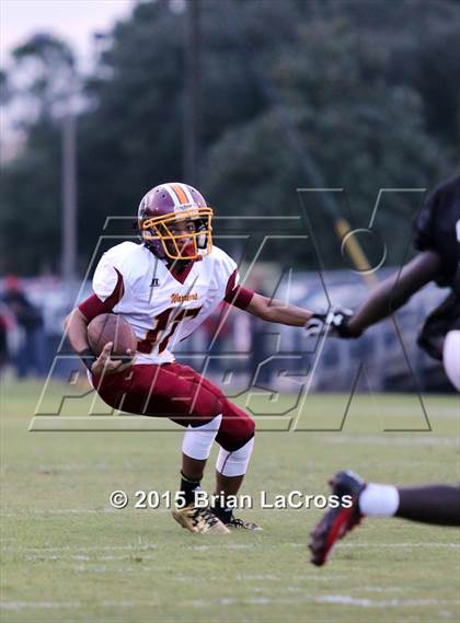 Thumbnail 1 in West Nassau @ Charlton County photogallery.