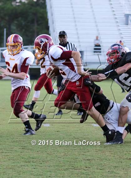 Thumbnail 3 in West Nassau @ Charlton County photogallery.