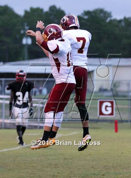 Thumbnail 2 in West Nassau @ Charlton County photogallery.