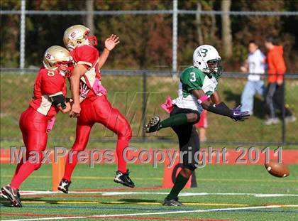 Thumbnail 1 in Brentwood @ Sachem East photogallery.