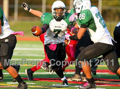 Thumbnail 3 in Brentwood @ Sachem East photogallery.