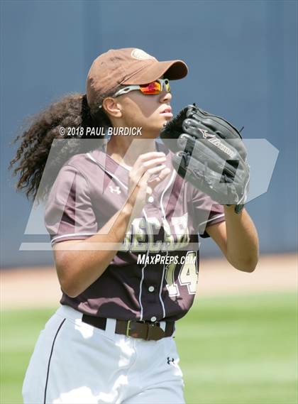 Thumbnail 1 in Punxsutawney vs. Bethlehem Catholic (PIAA 4A Championship) photogallery.