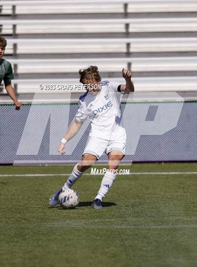 null - Photo 11