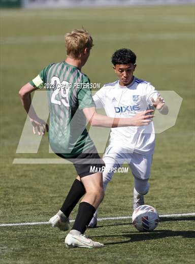 null - Photo 11