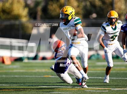 Thumbnail 3 in Live Oak @ Santa Teresa photogallery.