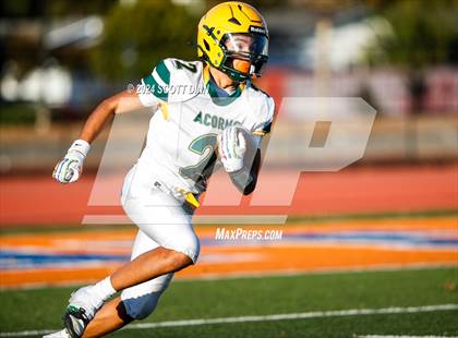 Thumbnail 1 in Live Oak @ Santa Teresa photogallery.