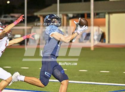 Thumbnail 3 in Lee vs Johnson photogallery.