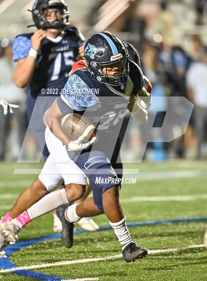 Thumbnail 3 in Lee vs Johnson photogallery.