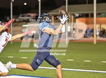 Thumbnail 2 in Lee vs Johnson photogallery.