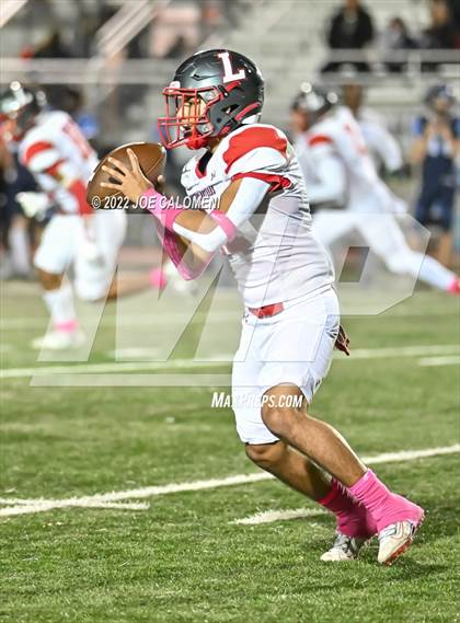 Thumbnail 3 in Lee vs Johnson photogallery.