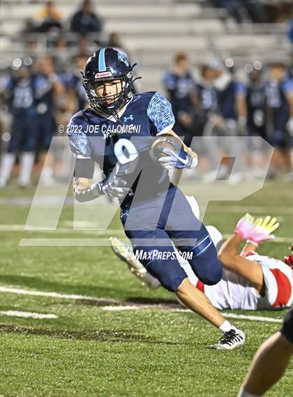 Thumbnail 3 in Lee vs Johnson photogallery.