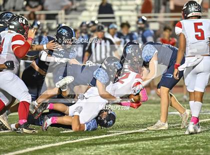 Thumbnail 3 in Lee vs Johnson photogallery.