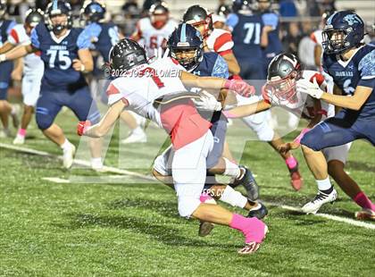 Thumbnail 3 in Lee vs Johnson photogallery.