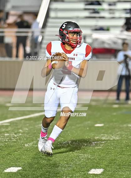 Thumbnail 3 in Lee vs Johnson photogallery.