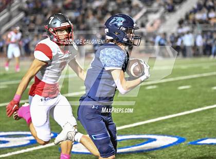 Thumbnail 1 in Lee vs Johnson photogallery.