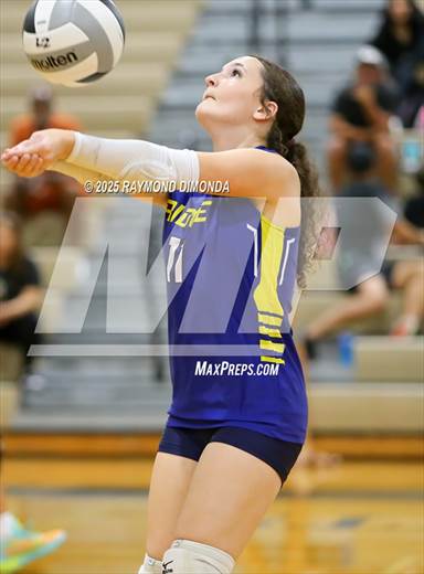 null - Photo 01