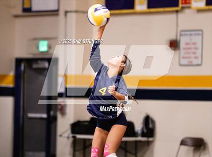 Thumbnail 2 in Christian Brothers @ Milpitas (CIF State NorCal Regional D2 First Round) photogallery.