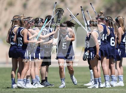 Thumbnail 1 in Cactus Shadows @ Oro Valley [Canyon del Oro/Ironwood Ridge/Marana] photogallery.