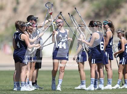 Thumbnail 3 in Cactus Shadows @ Oro Valley [Canyon del Oro/Ironwood Ridge/Marana] photogallery.