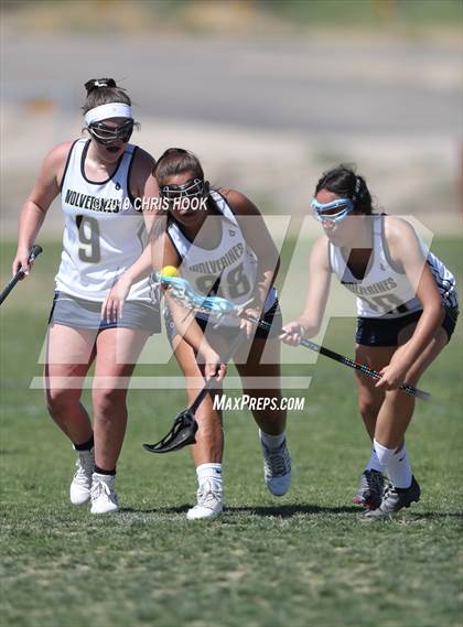 Thumbnail 3 in Cactus Shadows @ Oro Valley [Canyon del Oro/Ironwood Ridge/Marana] photogallery.
