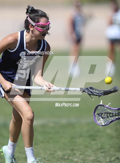 Thumbnail 1 in Cactus Shadows @ Oro Valley [Canyon del Oro/Ironwood Ridge/Marana] photogallery.