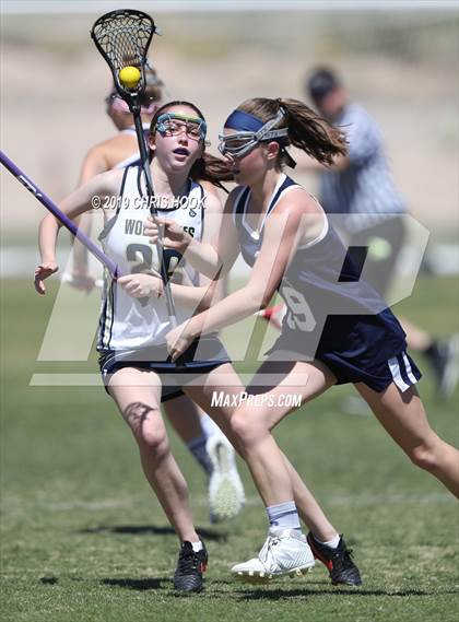 Thumbnail 3 in Cactus Shadows @ Oro Valley [Canyon del Oro/Ironwood Ridge/Marana] photogallery.