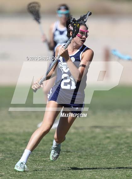 Thumbnail 3 in Cactus Shadows @ Oro Valley [Canyon del Oro/Ironwood Ridge/Marana] photogallery.