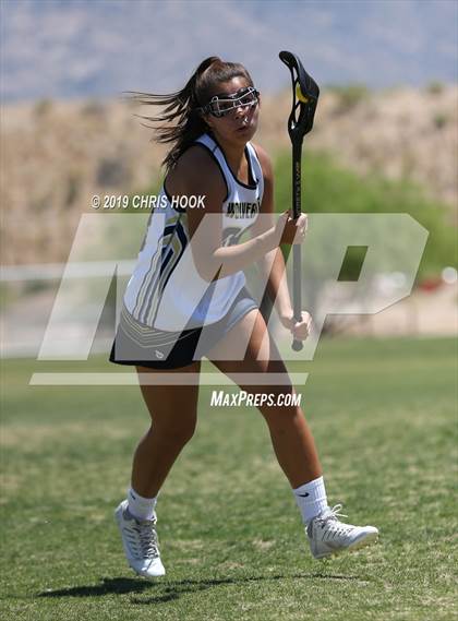 Thumbnail 1 in Cactus Shadows @ Oro Valley [Canyon del Oro/Ironwood Ridge/Marana] photogallery.