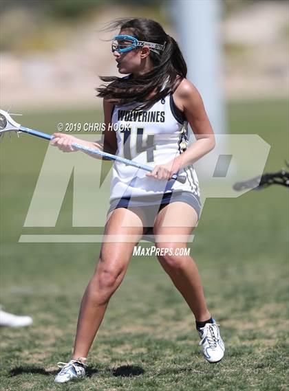 Thumbnail 3 in Cactus Shadows @ Oro Valley [Canyon del Oro/Ironwood Ridge/Marana] photogallery.