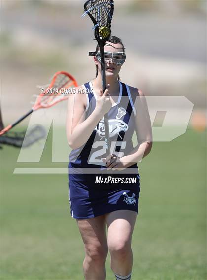 Thumbnail 1 in Cactus Shadows @ Oro Valley [Canyon del Oro/Ironwood Ridge/Marana] photogallery.