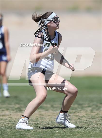 Thumbnail 3 in Cactus Shadows @ Oro Valley [Canyon del Oro/Ironwood Ridge/Marana] photogallery.