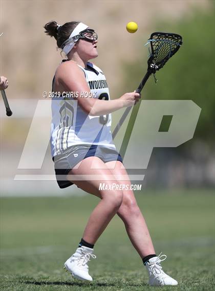 Thumbnail 2 in Cactus Shadows @ Oro Valley [Canyon del Oro/Ironwood Ridge/Marana] photogallery.