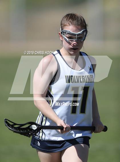 Thumbnail 3 in Cactus Shadows @ Oro Valley [Canyon del Oro/Ironwood Ridge/Marana] photogallery.