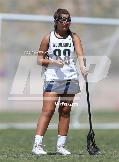Thumbnail 2 in Cactus Shadows @ Oro Valley [Canyon del Oro/Ironwood Ridge/Marana] photogallery.