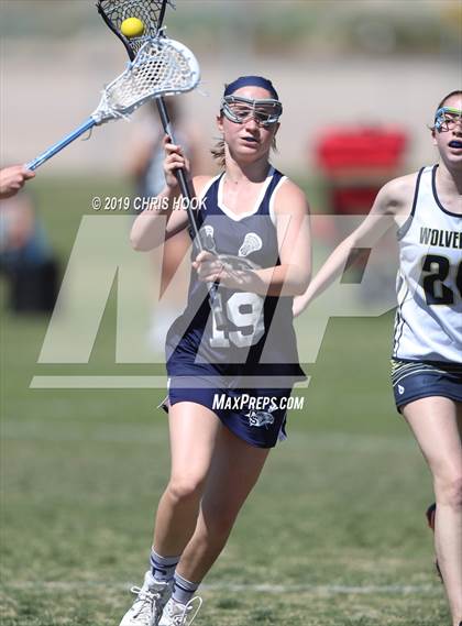 Thumbnail 1 in Cactus Shadows @ Oro Valley [Canyon del Oro/Ironwood Ridge/Marana] photogallery.