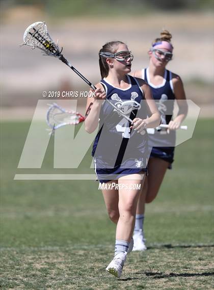 Thumbnail 2 in Cactus Shadows @ Oro Valley [Canyon del Oro/Ironwood Ridge/Marana] photogallery.