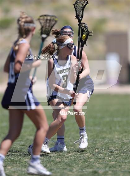 Thumbnail 1 in Cactus Shadows @ Oro Valley [Canyon del Oro/Ironwood Ridge/Marana] photogallery.