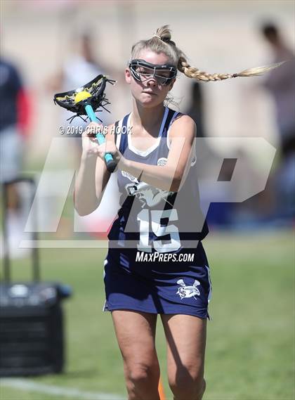 Thumbnail 3 in Cactus Shadows @ Oro Valley [Canyon del Oro/Ironwood Ridge/Marana] photogallery.