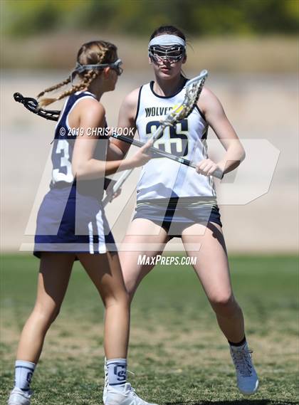 Thumbnail 2 in Cactus Shadows @ Oro Valley [Canyon del Oro/Ironwood Ridge/Marana] photogallery.