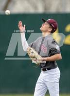 Photo from the gallery "Beaver @ New Castle"