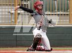 Photo from the gallery "Beaver @ New Castle"