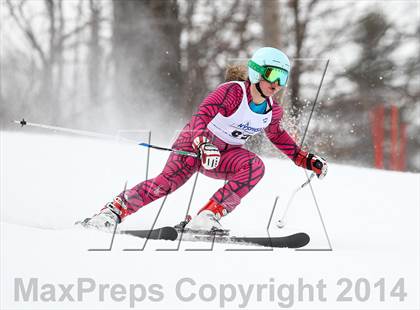 Thumbnail 2 in NYSPHSAA Alpine Championships (Giant Slalom - 2nd Run) photogallery.