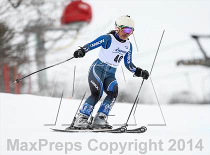 Thumbnail 1 in NYSPHSAA Alpine Championships (Giant Slalom - 2nd Run) photogallery.