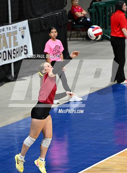 Thumbnail 2 in Merino vs. Sargent (CHSAA 1A 2nd Round) photogallery.